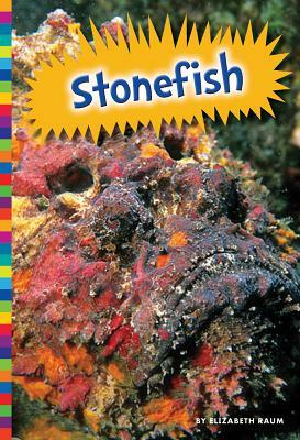 Stonefish by Elizabeth Raum