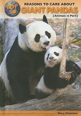 Top 50 Reasons to Care about Giant Pandas: Animals in Peril by Mary Firestone