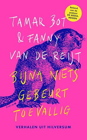 Bijna niets gebeurt toevallig: Verhalen uit Hilversum by Tamar Bot, Fanny van de Reijt