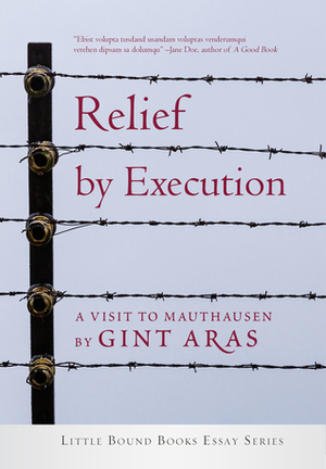 Relief by Execution: A Visit to Mauthausen by Gint Aras