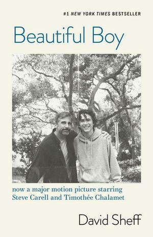 Beautiful Boy: A Father's Journey Through His Son's Addiction by David Sheff