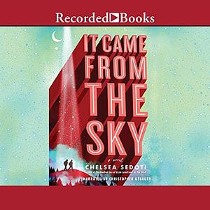 It Came from the Sky by Chelsea Sedoti