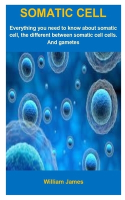 Somatic Cell: Somatic Cell: Everything You Need To Know About Somatic Cell, The Different Between Somatic Cell And Gametes Cells. by William James