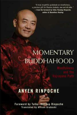 Momentary Buddhahood: Mindfulness and the Vajrayana Path by Anyen