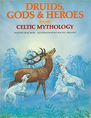 Druids, Gods & Heroes from Celtic Mythology by Anne Ross