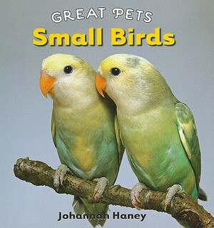 Small Birds by Johannah Haney