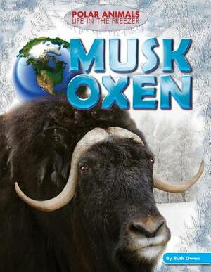 Musk Oxen by Ruth Owen