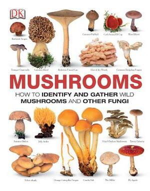 The Mushroom Book: How to Identify, Gather and Cook Wild Mushrooms and Other Fungi by Anna Del Conte, Gary Lincoff, Thomas Læssøe