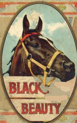 Black Beauty: Anna Sewell Blackbeauty Book Childrens Classic by Anna Sewell