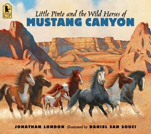 Little Pinto and the Wild Horses of Mustang Canyon by Jonathan London