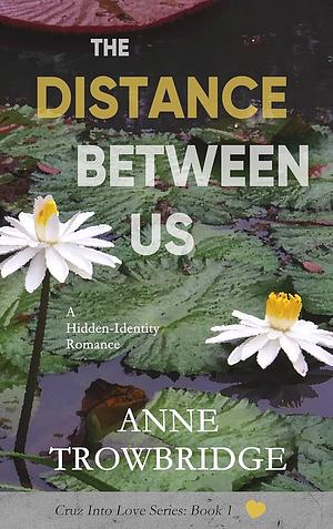 The Distance Between Us by Anne Trowbridge