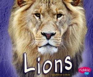 Lions by Catherine Ipcizade