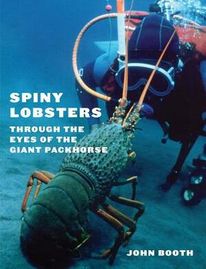 Spiny Lobsters: Through the Eyes of the Giant Packhorse by John Booth