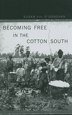 Becoming Free in the Cotton South by Susan Eva O'Donovan