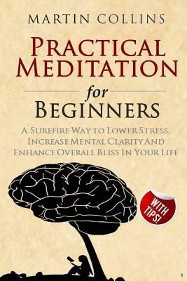 Practical Meditation for Beginners: A Surefire Way to Lower Stress, Increase Mental Clarity And Enhance Overall Bliss In Your Life by Martin Collins