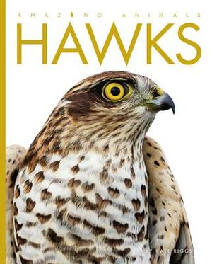 Amazing Animals: Hawks by Kate Riggs