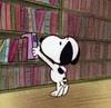 vasli's profile picture
