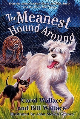 The Meanest Hound Around by Bill Wallace, Carol Wallace