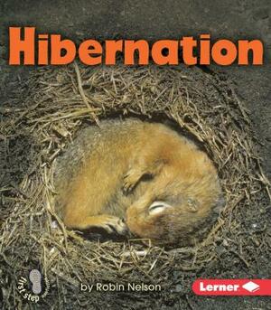 Hibernation by Robin Nelson