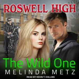 The Wild One by Melinda Metz