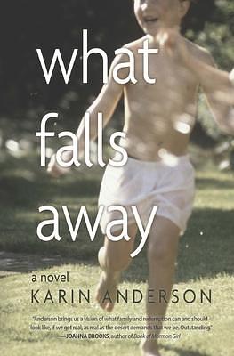 What Falls Away Karin by Karin Anderson, Karin Anderson