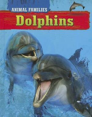 Dolphins by 