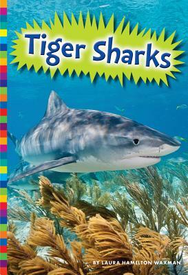 Tiger Sharks by Laura Hamilton Waxman