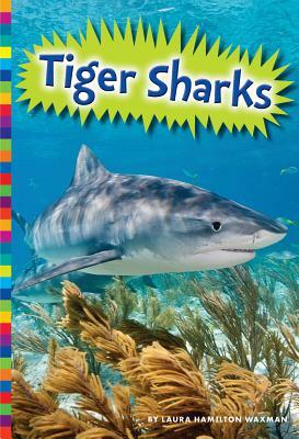 Tiger Sharks by Laura Hamilton Waxman