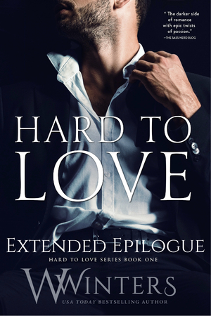 Never to End Hard to Love Extended Epilogue  by Willow Winters, W. Winters