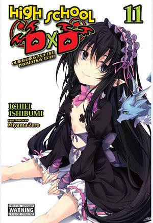 High School DxD, Vol. 11 (light Novel) by Ichiei Ishibumi