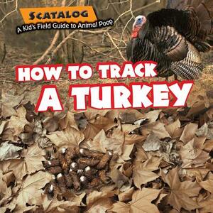 How to Track a Turkey by Norman D. Graubart