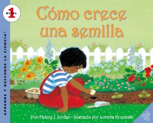 Como Crece Una Semilla: How a Seed Grows (Spanish Edition) = How a Seed Grows by Helene J. Jordan