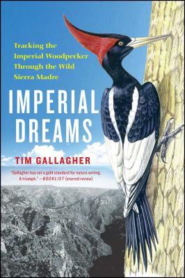 Imperial Dreams: Tracking the Imperial Woodpecker Through the Wild by Tim Gallagher