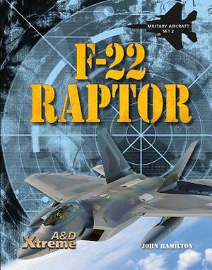 F-22 Raptor by John Hamilton