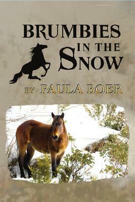 Brumbies in the Snow by Paula Boer