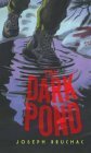 The Dark Pond by Sally Wern Comport, Joseph Bruchac
