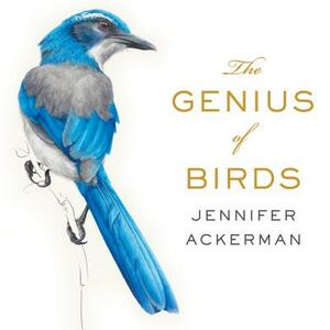 The Genius of Birds by Jennifer Ackerman