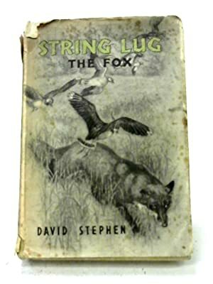 String Lug the Fox by David Stephen