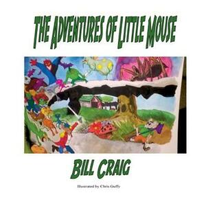 The Adventures of Little Mouse by Bill Craig