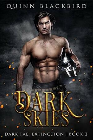 Dark Skies by Quinn Blackbird