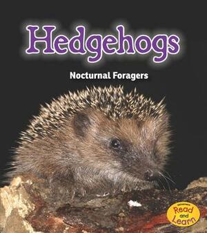 Hedgehogs: Nocturnal Foragers by Rebecca Rissman