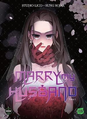 Marry My Husband, Book 1 by sungsojak, Studio LICO