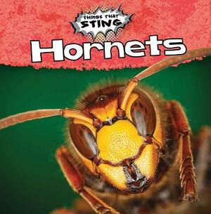 Hornets by Amy Hayes