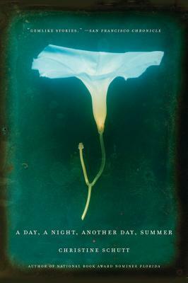 A Day, a Night, Another Day, Summer by Christine Schutt