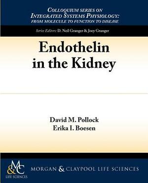 Endothelin in the Kidney by David M. Pollock, Erika I. Boesen