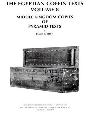 Middle Kingdom Copies of Pyramid Texts by James P. Allen