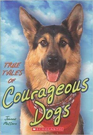 True Tales of Courageous Dogs by Joanne Mattern, Joanne Mattern