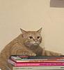 mary_reads_a_book's profile picture