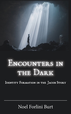 Encounters in the Dark: Identity Formation in the Jacob Story by Noel Forlini Burt