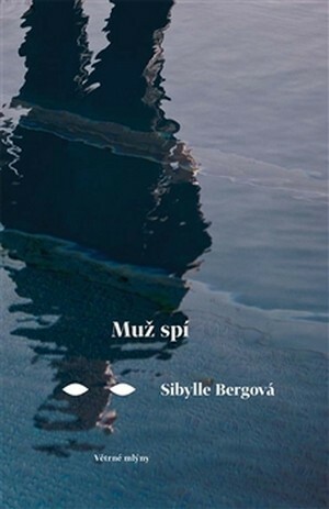 Muž spí by Sibylle Berg